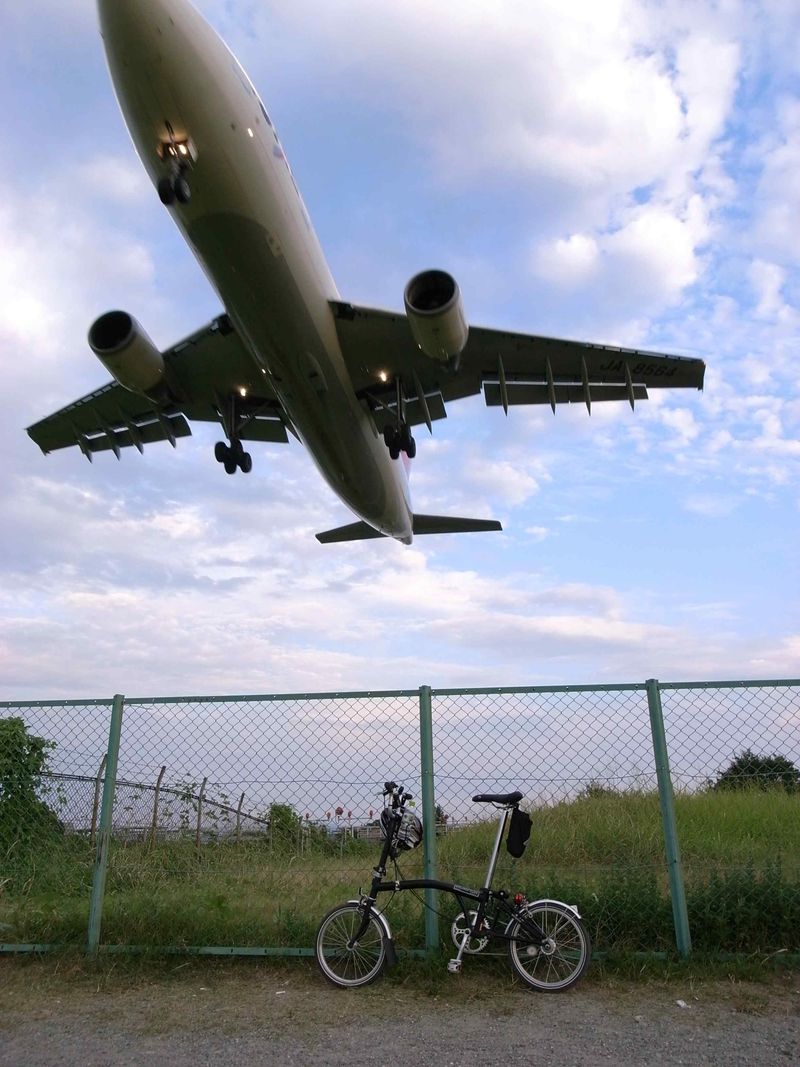 飛行機