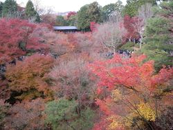 東福寺　橋から