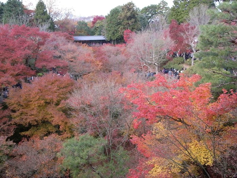 東福寺　橋から