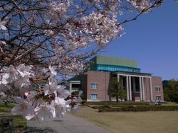 桜と大学
