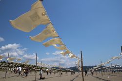 DPP_0011 DPP_0011