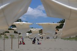 DPP_0013 DPP_0013